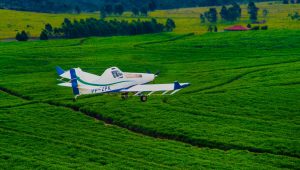 Foto de aeronave sobrevoando plantação para realizar pulverização de defensivos agrícolas