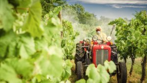 Controle de pragas na agricultura