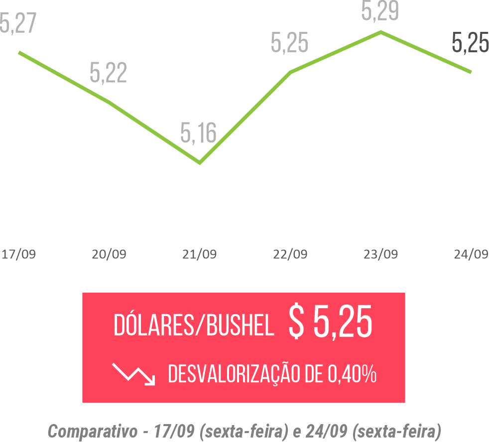 Dólar por bushel de milho: gráfico mostra variação entre os dias 17 e 24 de setembro e destaca o valor de fechamento da semana: 5,25 dólares por bushel, representando desvalorização de 0,4%.