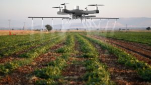 uso de drones na agricultura