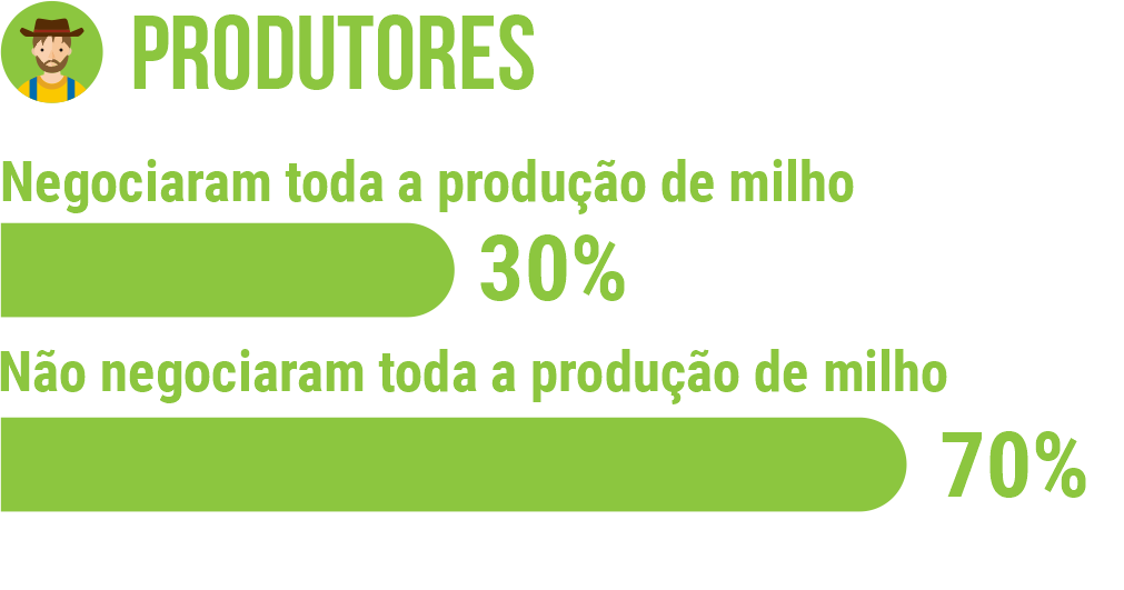 Quanto à produção de milho negociada, 30% dos produtores já transacionaram toda a sua produção, porém 70% deles ainda não negociaram o que já produziram