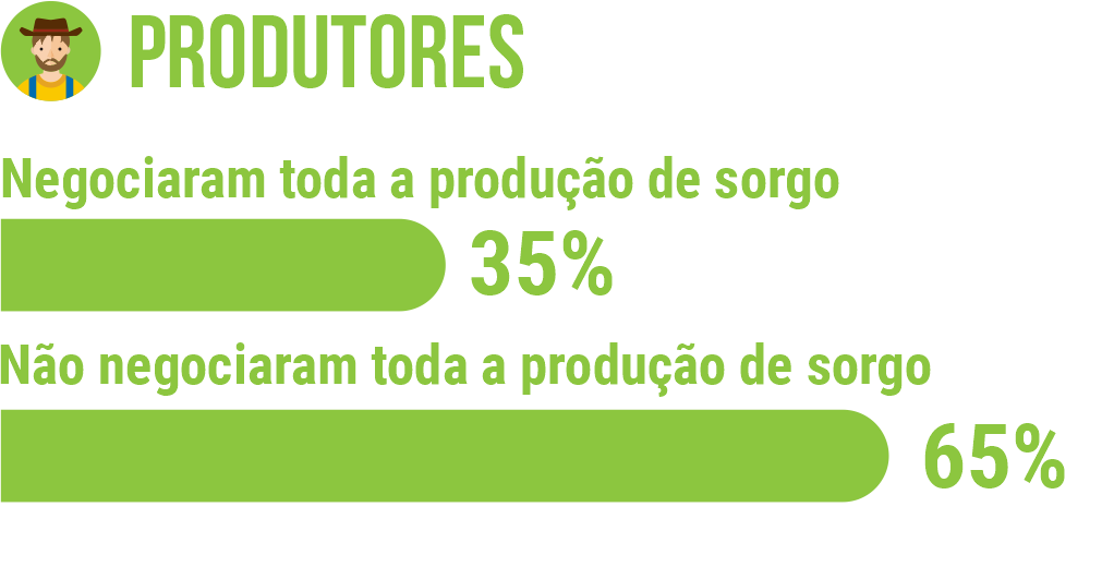 Somente 35% dos produtores da plataforma já negociaram toda a produção de sorgo. Cerca de 75% deles ainda possuem disponibilidade de negociar o grão.