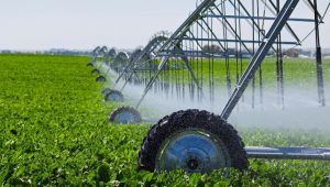 tecnologia de irrigação