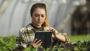 Inovações tecnológicas no agronegócio