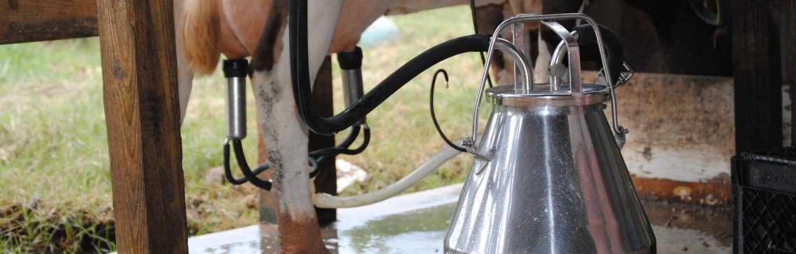 Preços médios do litro de leite em fevereiro de 2022 giraram em torno de R$ 2,14