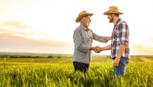 diferenças entre produtor rural pessoa física e jurídica