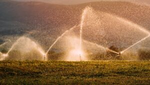 Agricultura irrigada: o que é preciso saber sobre o assunto