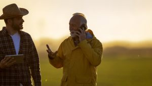 comunicação no campo