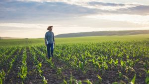 Cadastro Ambiental Rural