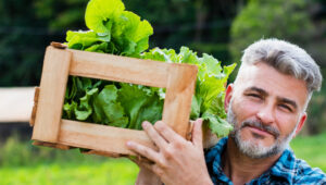 comercialização agropecuária